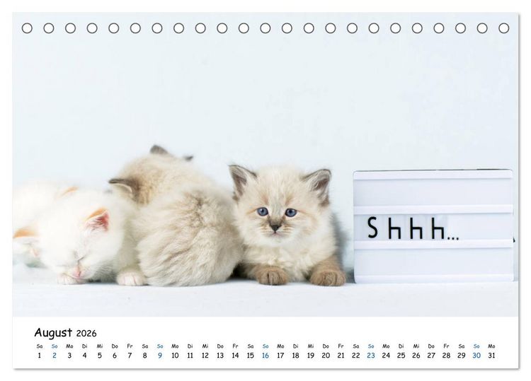 Produktbild: Tierkinder ganz frech (Tischkalender 2026 DIN A5 quer), CALVENDO Monatskalender