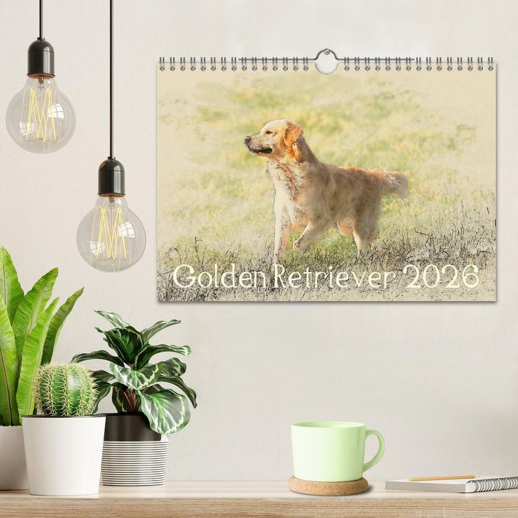 Produktbild: Golden Retriever 2026 (Wandkalender 2026 DIN A4 quer), CALVENDO Monatskalender