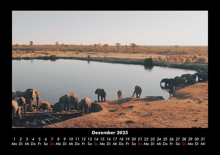 Produktbild: Tage am See 2025 Fotokalender DIN A3