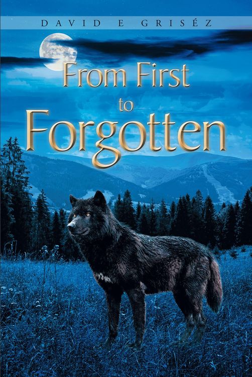Produktbild: From First to Forgotten