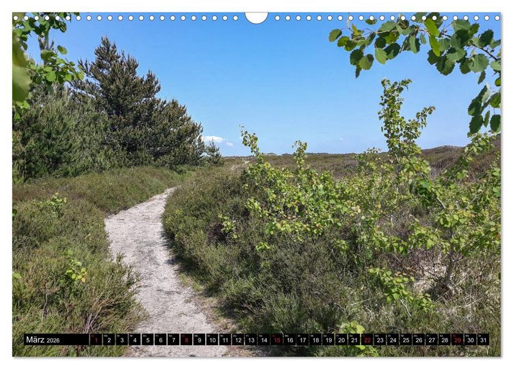 Produktbild: Urlaub auf R&ouml;m&ouml; (Wandkalender 2026 DIN A3 quer), CALVENDO Monatskalender