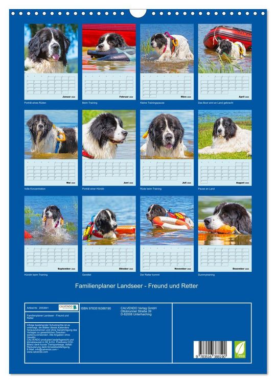 Produktbild: Familienplaner Landseer - Freund und Retter (Wandkalender 2026 DIN A3 hoch), CALVENDO Monatskalender