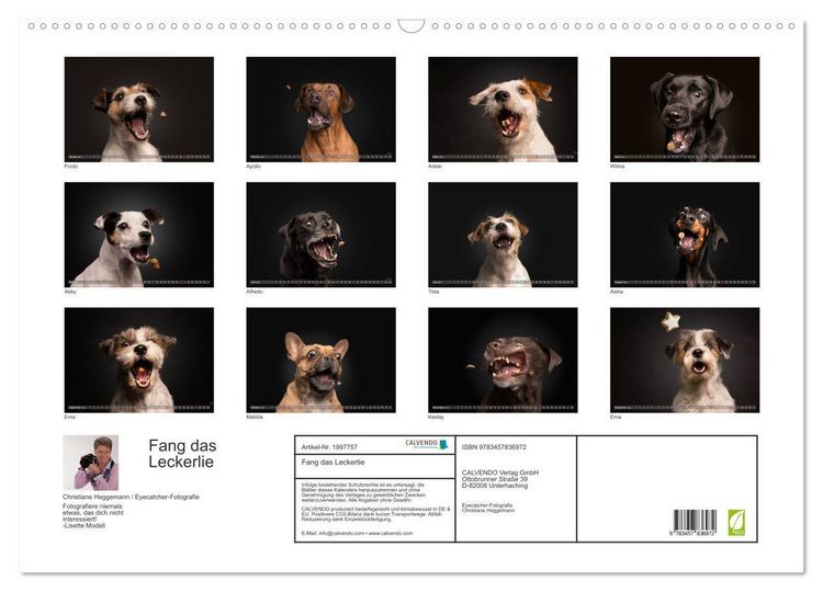 Produktbild: Fang das Leckerlie (Wandkalender 2026 DIN A2 quer), CALVENDO Monatskalender