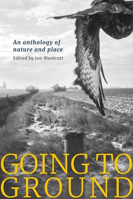 Produktbild: Going to Ground