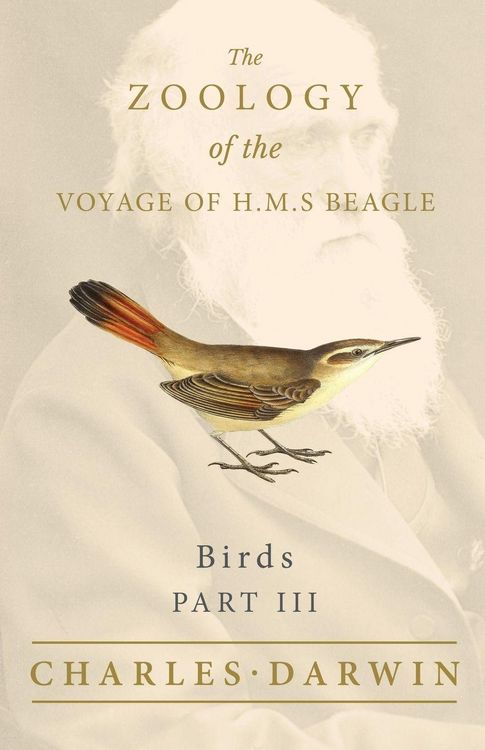 Produktbild: Birds - Part III - The Zoology of the Voyage of H.M.S Beagle ; Under the Command of Captain Fitzroy - During the Years 1832 to 1836