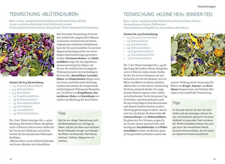 Produktbild: Tee aus Kr&auml;utern und Fr&uuml;chten