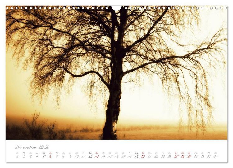 Produktbild: Teufelsmoor Impressionen (Wandkalender 2026 DIN A3 quer), CALVENDO Monatskalender
