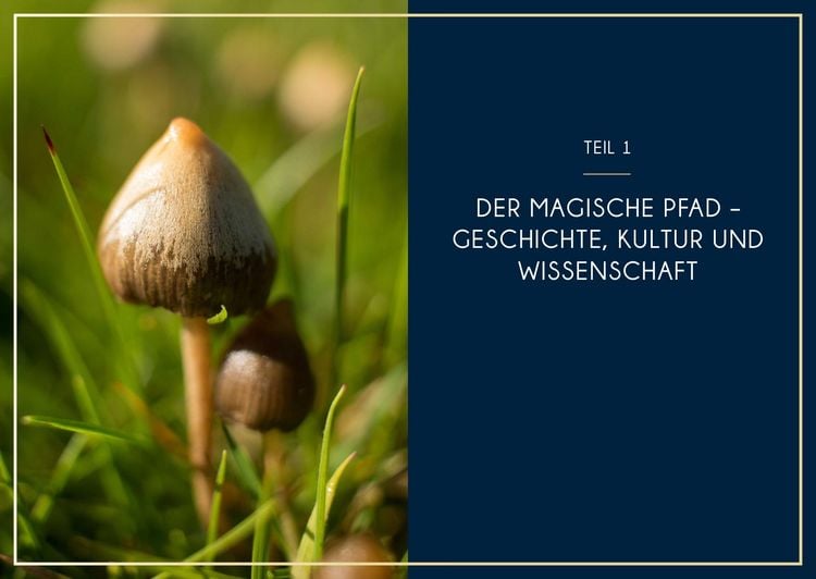 Produktbild: Microdosing mit Psilocybin
