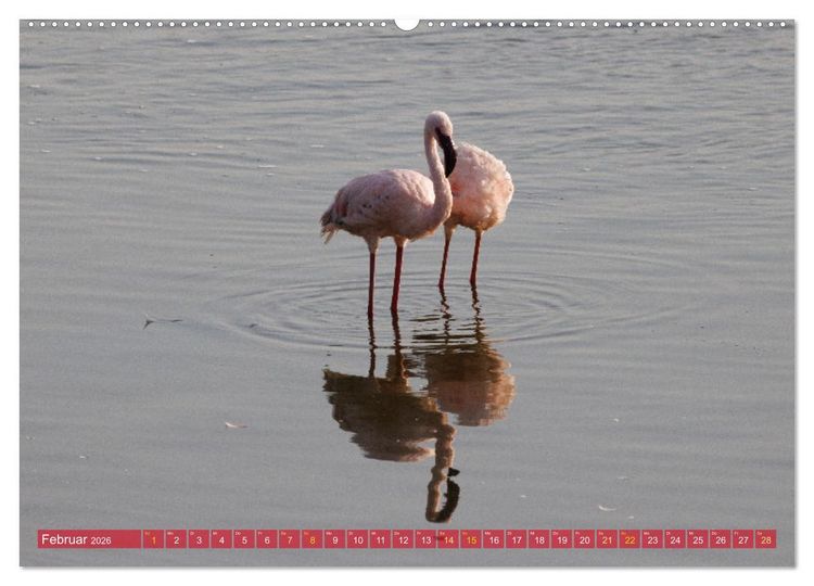 Produktbild: Flamingos am Lake Bogoria - Kenia (Wandkalender 2026 DIN A2 quer), CALVENDO Monatskalender