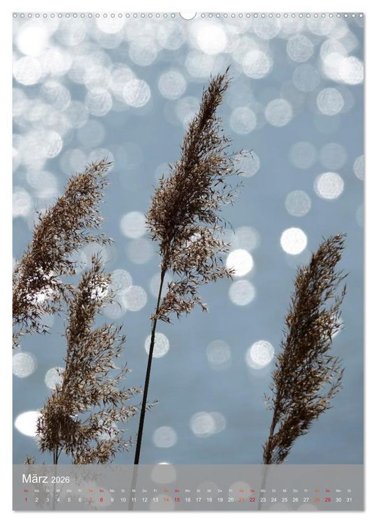 Produktbild: Mit Bokeh-Fotografie durch das Jahr (Wandkalender 2026 DIN A2 hoch), CALVENDO Monatskalender