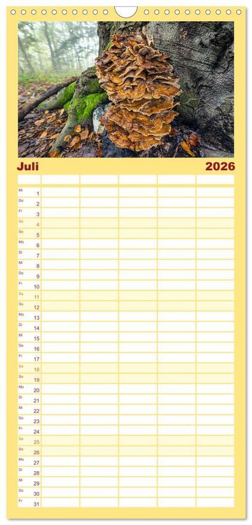 Produktbild: Familienplaner 2026 - Fantastische Pilzwelten mit 5 Spalten (Wandkalender, 21 x 45 cm) CALVENDO