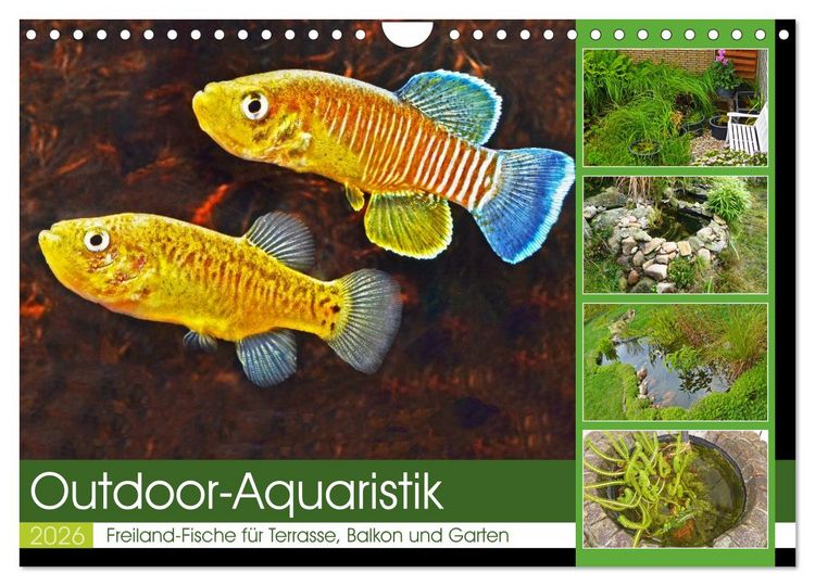 Produktbild: Outdoor-Aquaristik (Wandkalender 2026 DIN A4 quer), CALVENDO Monatskalender