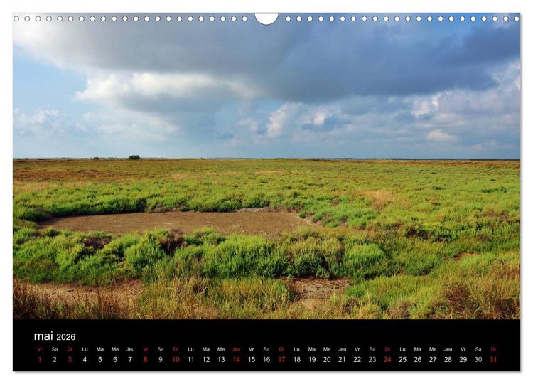 Produktbild: Camargue Entre mer et nature (Calendrier mural 2026 DIN A3 vertical), CALVENDO calendrier mensuel