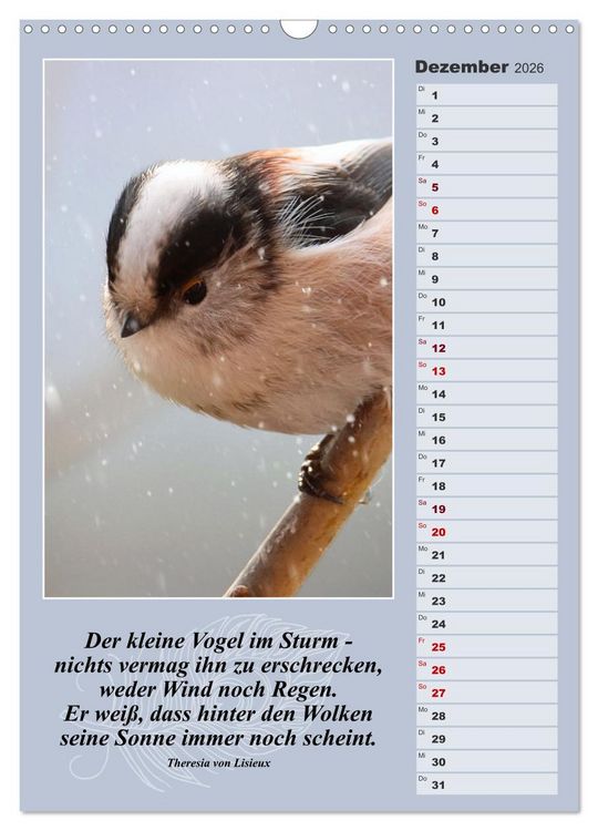 Produktbild: Schwanzmeisen, die niedlichen kleinen Pfannenstielchen (Wandkalender 2026 DIN A3 hoch), CALVENDO Monatskalender