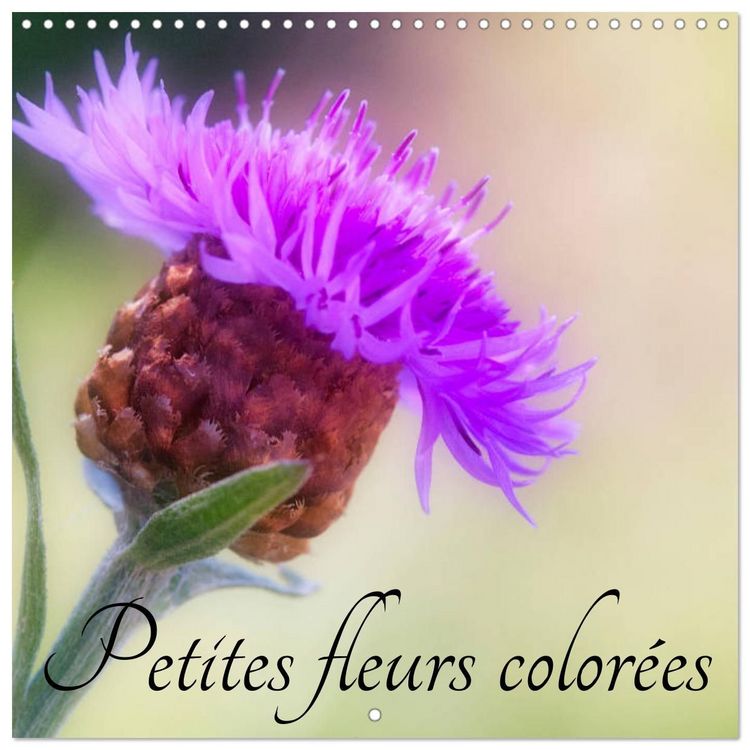 Produktbild: Petites fleurs color&eacute;es (Calendrier mural carr&eacute; 2027 30x30 cm) Calendrier double avec une page pour vos prises de notes