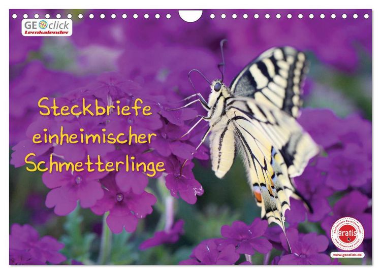 Produktbild: GEOclick Lernkalender: Steckbriefe einheimischer Schmetterlinge (Wandkalender 2026 DIN A4 quer), CALVENDO Monatskalender