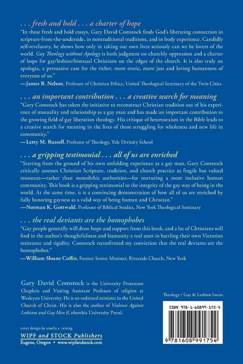 Produktbild: Gay Theology without Apology