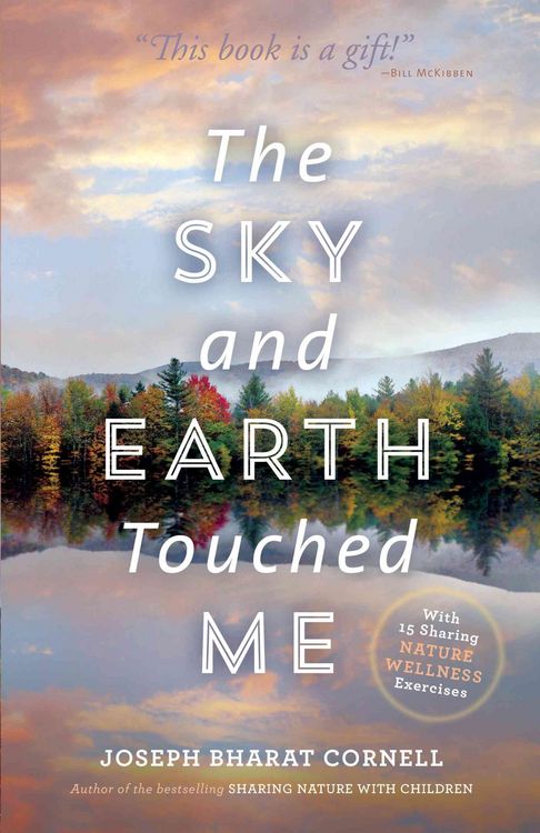 Produktbild: The Sky and Earth Touched Me
