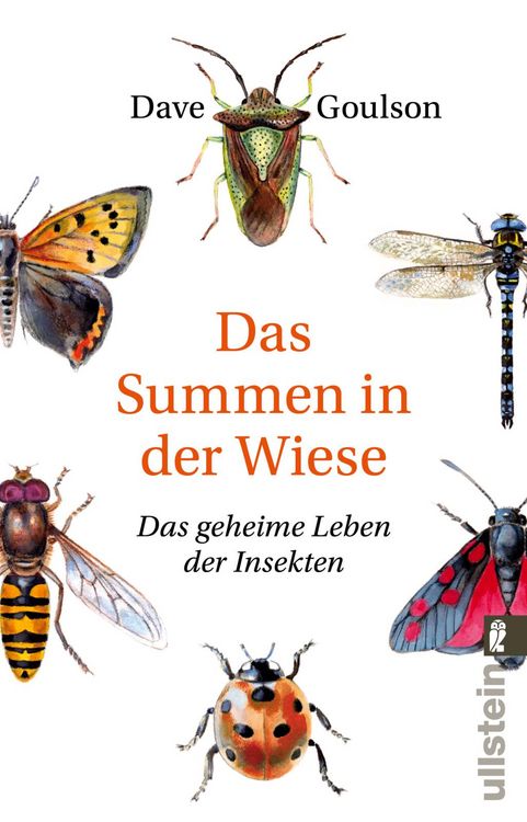Produktbild: Das Summen in der Wiese