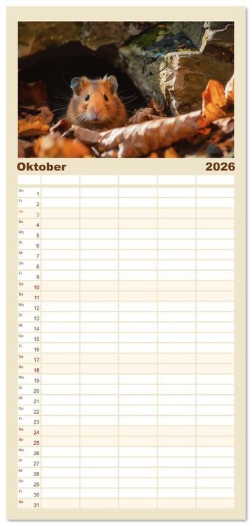 Produktbild: Familienplaner 2026 - Wild und flauschig - Hamster - Abenteuer in freier Natur mit 5 Spalten (Wandkalender, 21 x 45 cm) CALVENDO
