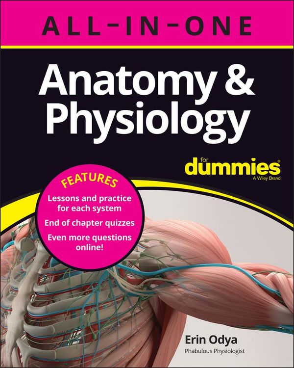 Produktbild: Anatomy & Physiology All-in-One For Dummies (+ Chapter Quizzes Online)