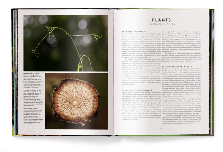 Produktbild: Jungle Spirits