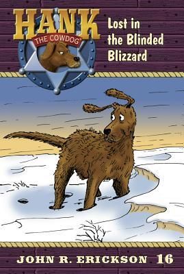 Produktbild: Lost in the Blinded Blizzard