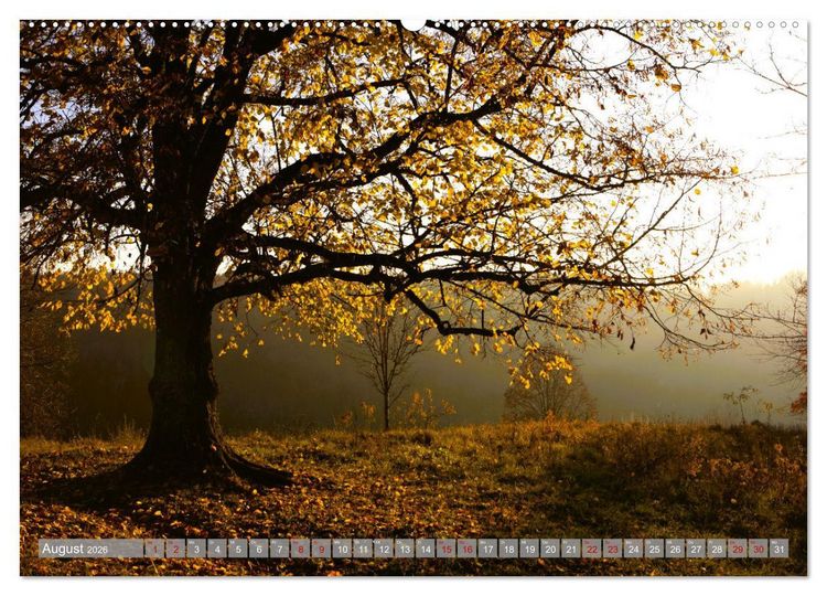 Produktbild: Wundersch&ouml;ne schw&auml;bische Alb (Wandkalender 2026 DIN A2 quer), CALVENDO Monatskalender
