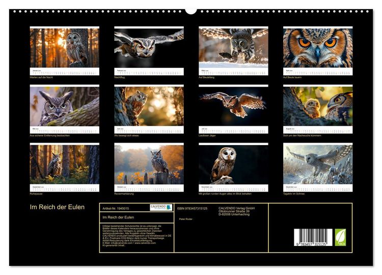 Produktbild: Im Reich der Eulen (hochwertiger Premium Wandkalender 2026 DIN A2 quer), Kunstdruck in Hochglanz