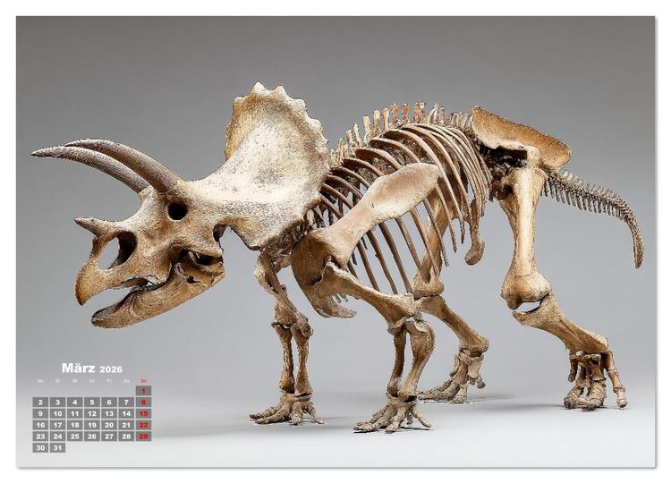 Produktbild: Knochen der Giganten - Dinosaurier im Portr&auml;t (Wandkalender 2026 DIN A2 quer), CALVENDO Monatskalender