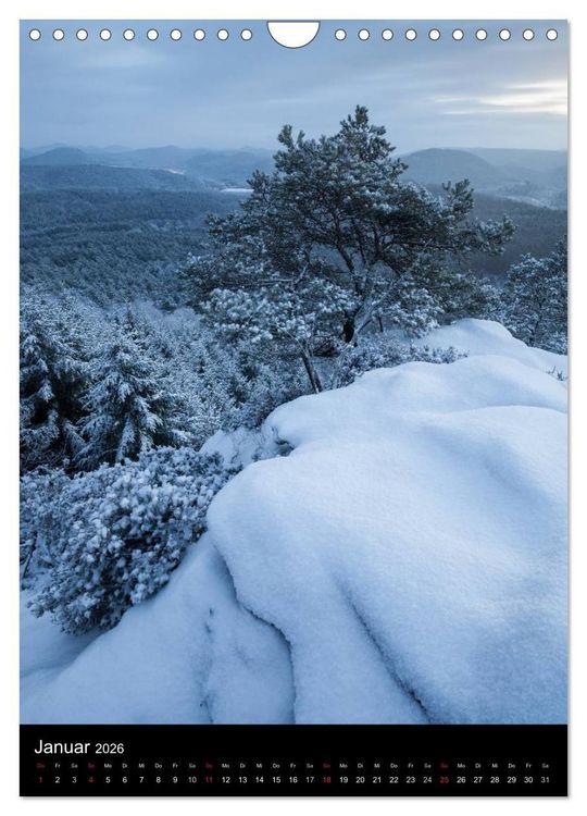 Produktbild: NATURWUNDER PF&Auml;LZERWALD (Wandkalender 2026 DIN A4 hoch), CALVENDO Monatskalender