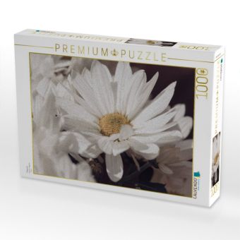 Produktbild: CALVENDO Puzzle Magerite | 1000 Teile Lege-Gr&ouml;&szlig;e 64x48cm Foto-Puzzle f&uuml;r gl&uuml;ckliche Stunden