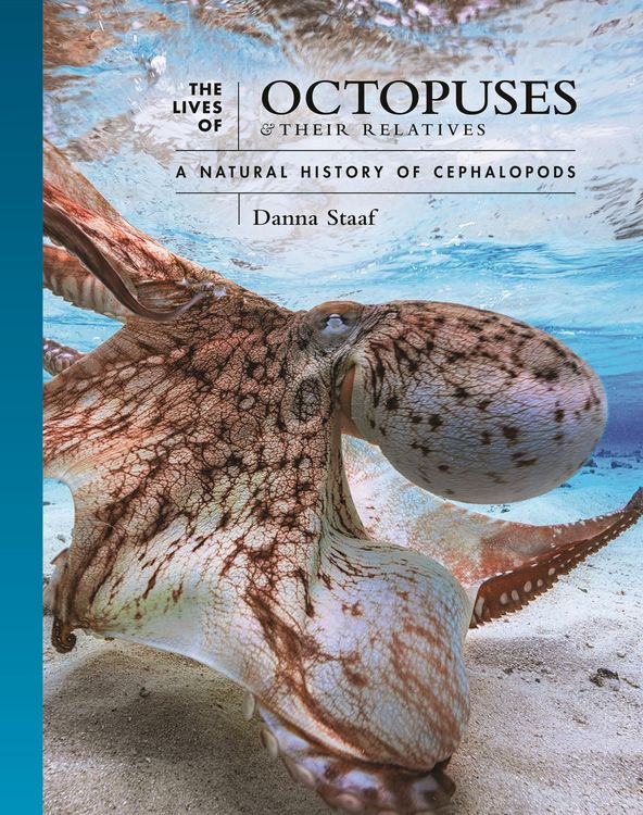 Produktbild: The Lives of Octopuses and Their Relatives