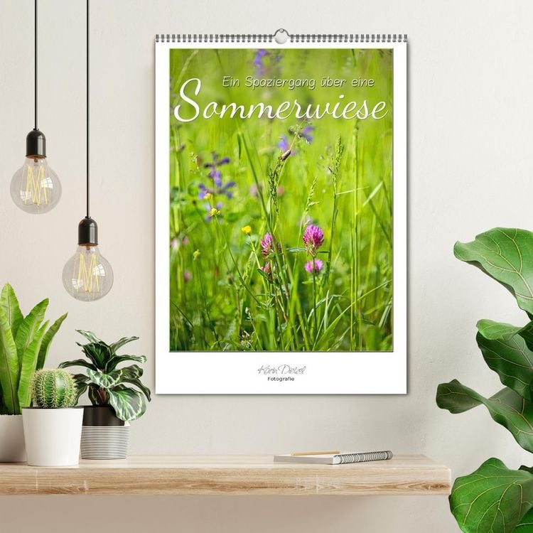 Produktbild: Ein Spaziergang &uuml;ber eine Sommerwiese (Wandkalender 2026 DIN A2 hoch), CALVENDO Monatskalender