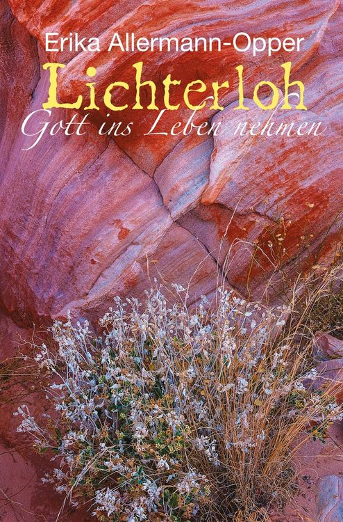 Produktbild: Lichterloh