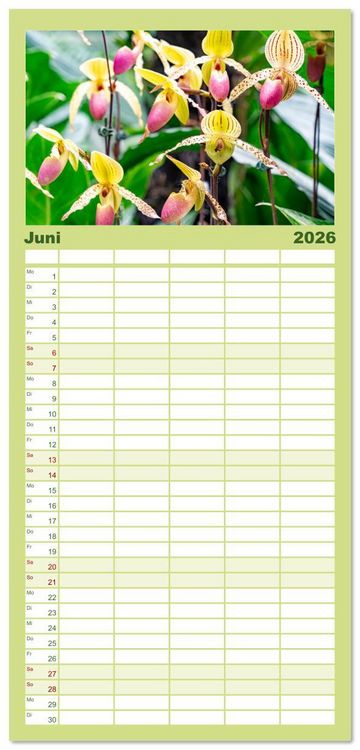 Produktbild: Familienplaner 2026 - Orchidaceae - Orchideen mit 5 Spalten (Wandkalender, 21 x 45 cm) CALVENDO
