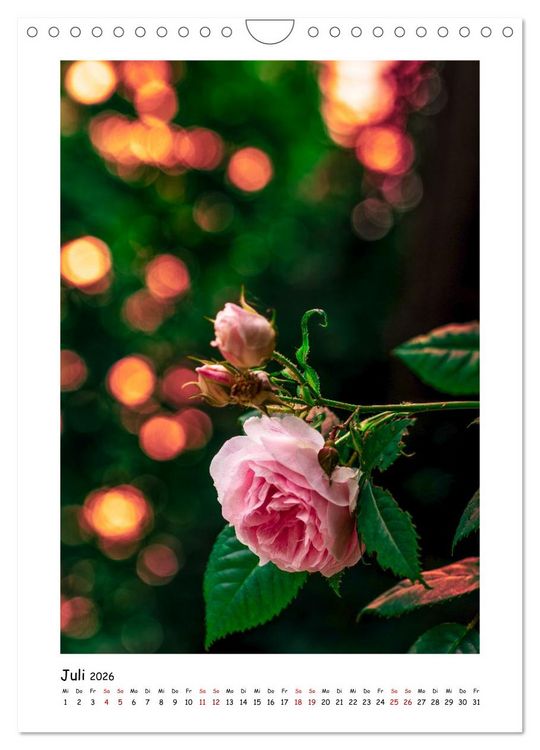 Produktbild: Bubble Bokeh (Wandkalender 2026 DIN A4 hoch), CALVENDO Monatskalender