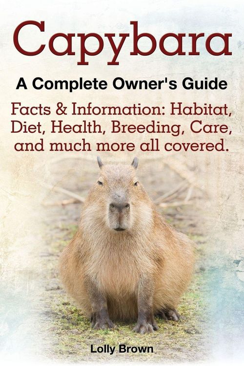 Produktbild: Capybara. Facts & Information