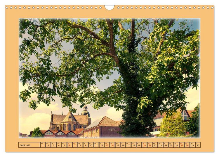 Produktbild: Gr&uuml;ne Welt DAMME (Wandkalender 2026 DIN A3 quer), CALVENDO Monatskalender