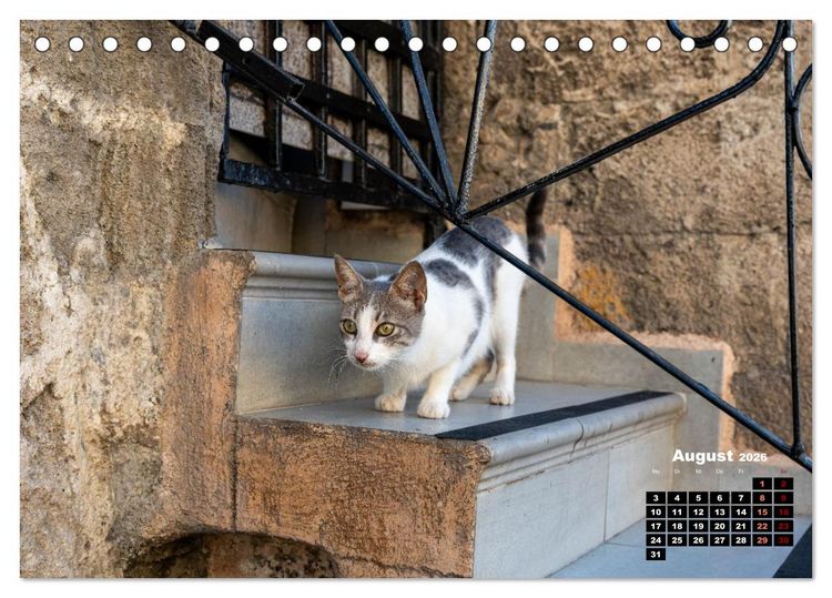 Produktbild: Katzen von Rhodos - Kleine G&ouml;tter auf vier Pfoten (Tischkalender 2026 DIN A5 quer), CALVENDO Monatskalender
