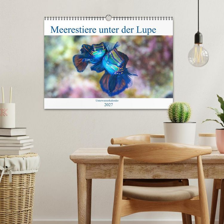 Produktbild: Meerestiere unter der Lupe - Unterwasserkalender (Wandkalender 2027 DIN A3 quer), CALVENDO Monatskalender