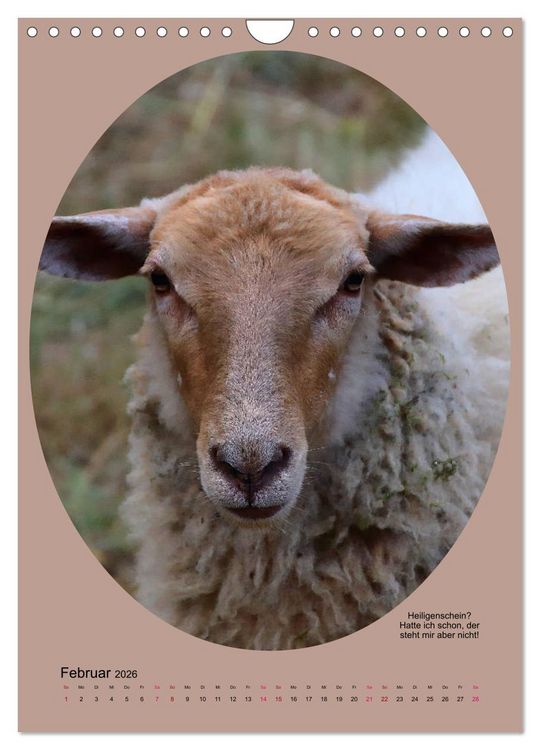 Produktbild: Scharfe Portraits (Wandkalender 2026 DIN A4 hoch), CALVENDO Monatskalender