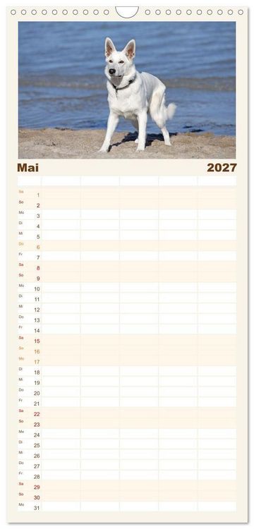 Produktbild: Familienplaner 2027 - Berger Blanc Suisse - Weggef&auml;hrten auf 4 Pfoten mit 5 Spalten (Wandkalender, 21 x 45 cm) CALVENDO