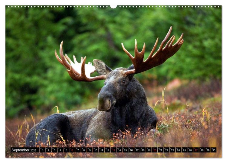 Produktbild: Kanada - Das Paradies f&uuml;r Entdecker (Wandkalender 2026 DIN A2 quer), CALVENDO Monatskalender