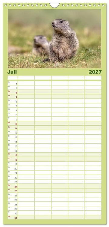 Produktbild: Familienplaner 2027 - Tiere der Alpen - Murmeltier-Kinder mit 5 Spalten (Wandkalender, 21 x 45 cm) CALVENDO