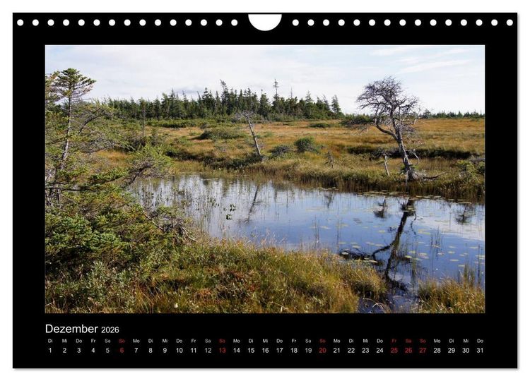 Produktbild: Nova Scotia & Prince Edward Island (Wandkalender 2026 DIN A4 quer), CALVENDO Monatskalender