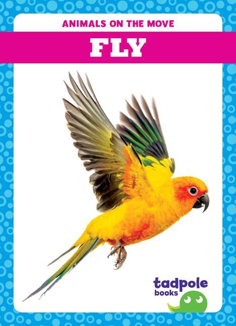 Produktbild: Fly