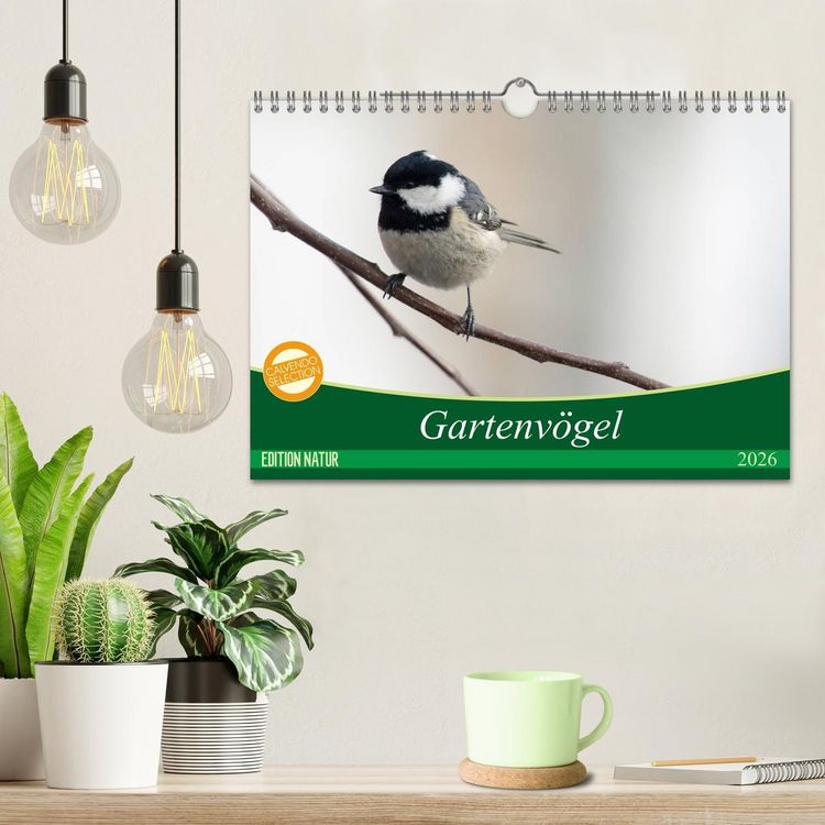 Produktbild: Gartenv&ouml;gel (Wandkalender 2026 DIN A4 quer), CALVENDO Monatskalender