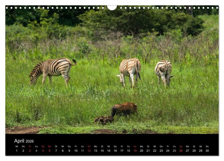 Produktbild: S&uuml;dafrika (Wandkalender 2026 DIN A3 quer), CALVENDO Monatskalender