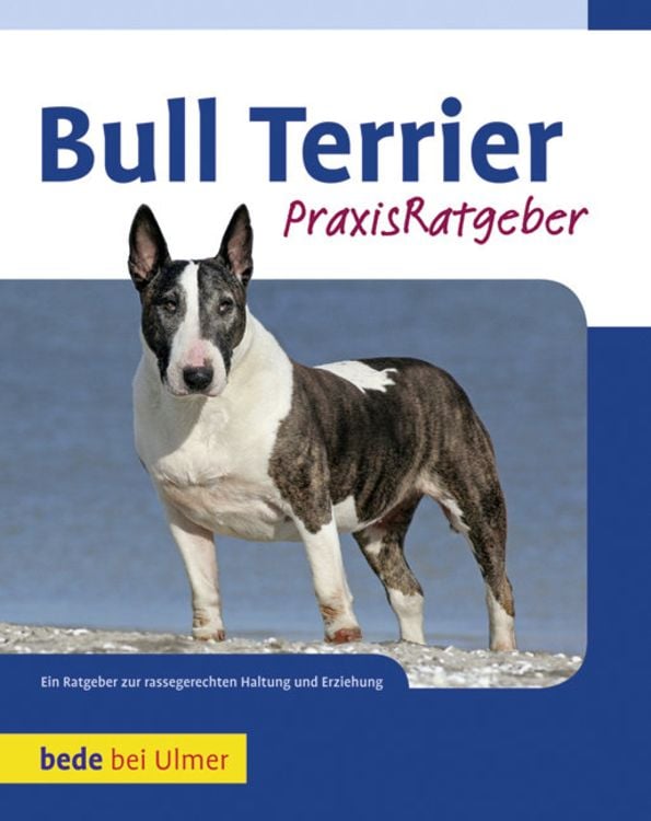 Produktbild: Bull Terrier